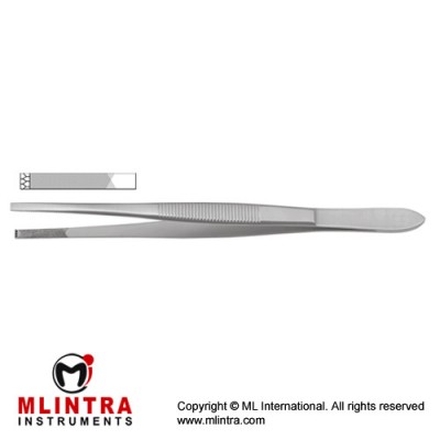 Stille-Barraya Dissecting Forceps Stainless Steel, 25 cm - 9 3/4"